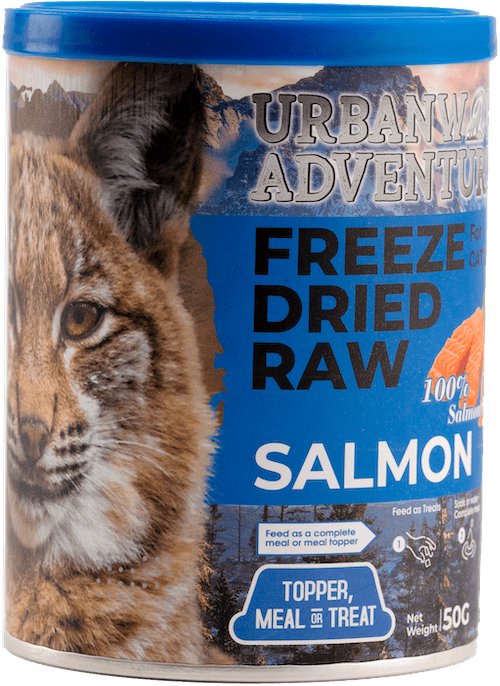 SALMON