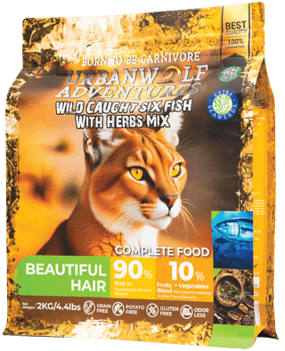 /img/cat-original/beautiful-hair/19.Beautiful Hair.png