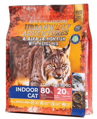 INDOOR CAT