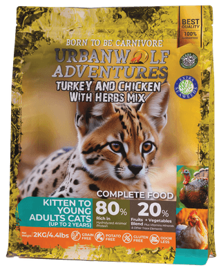 /img/cat-original/kitten-adult/20.Kitten.png