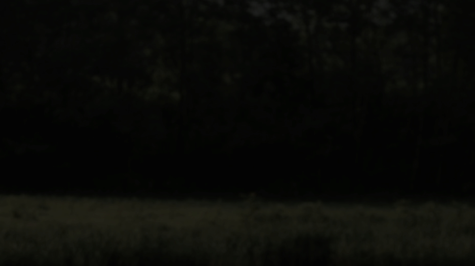 Banner Overlay