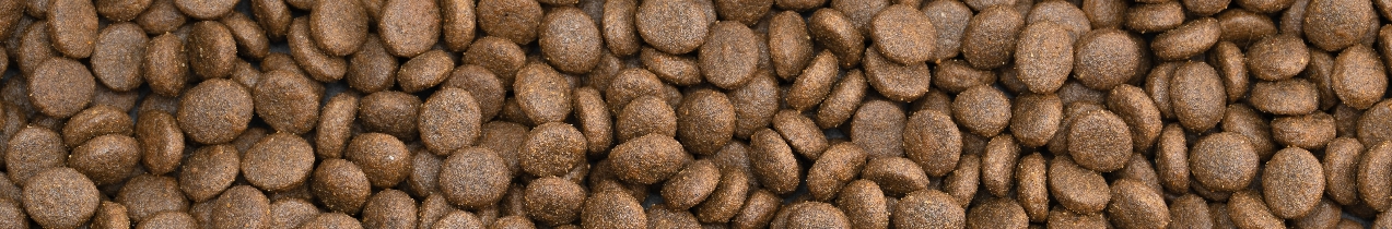 Cat Food