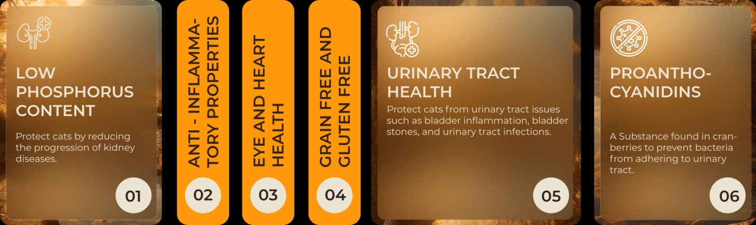 urinary-kidney Steps
