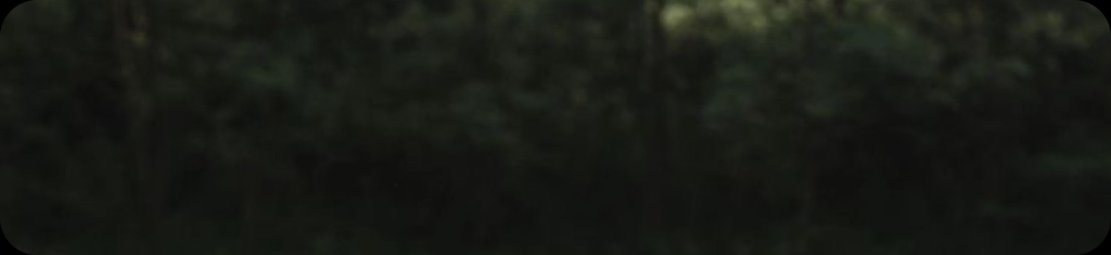 banner-bg