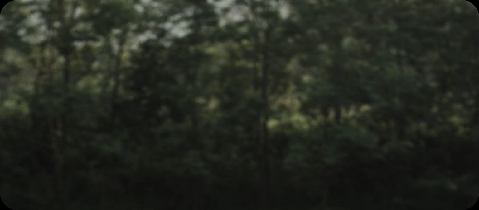 product-banner-bg