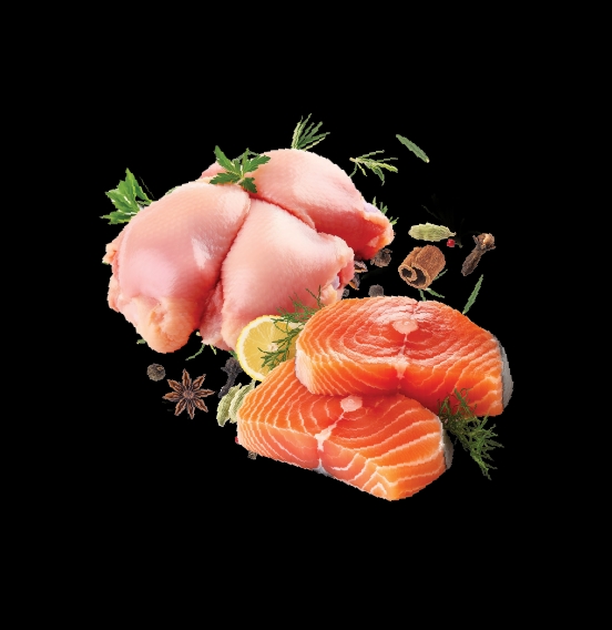 protein