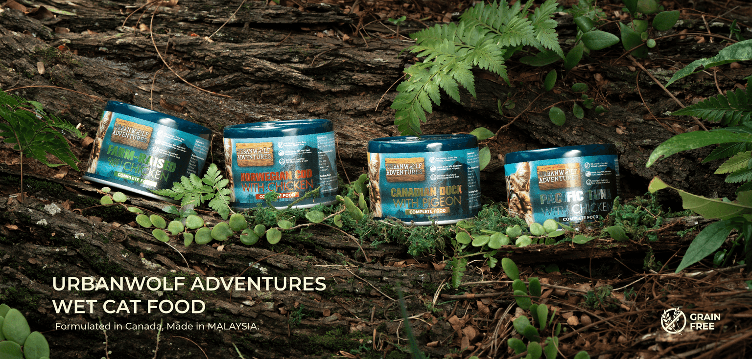Urbanwolf Adventures - Wet Cat Food