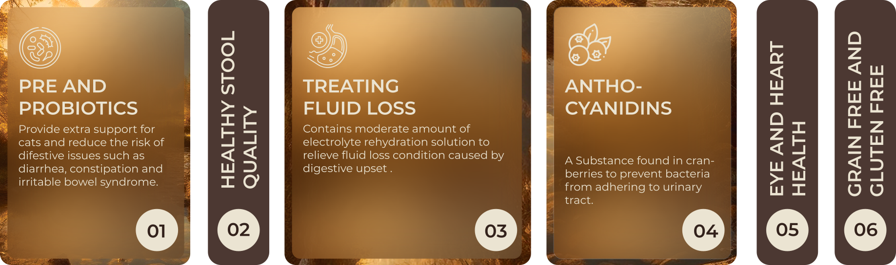 digestive-care Steps