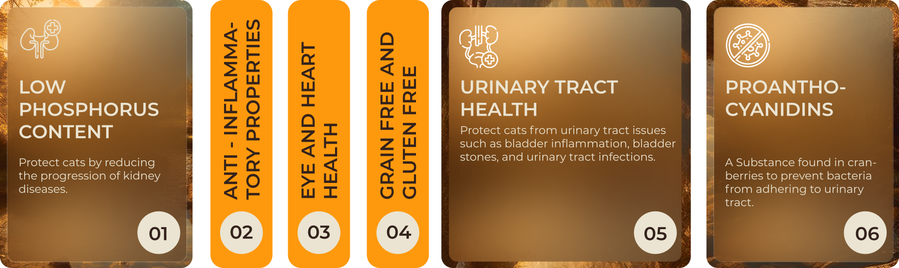 urinary-kidney Steps