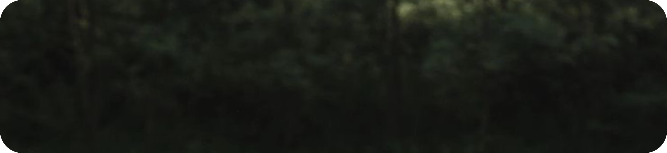 banner-bg